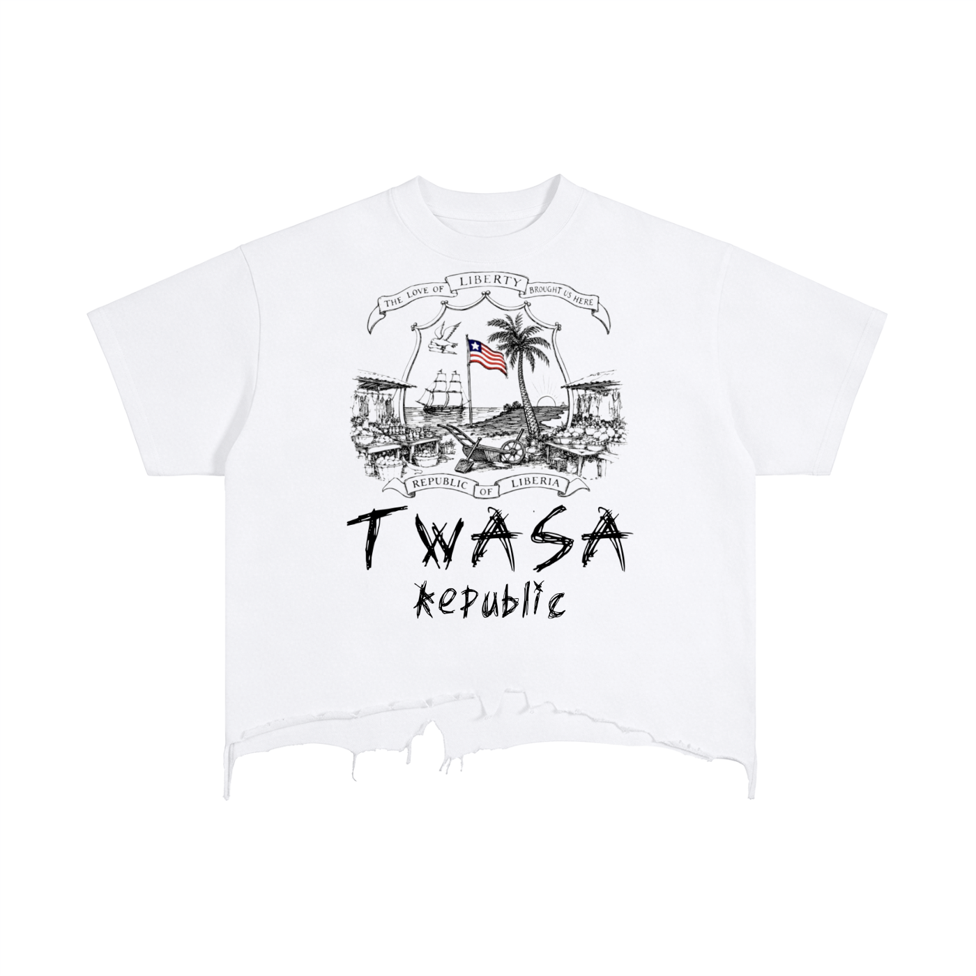 THE REPUBLIC